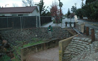 san-jose-berryessa-creek